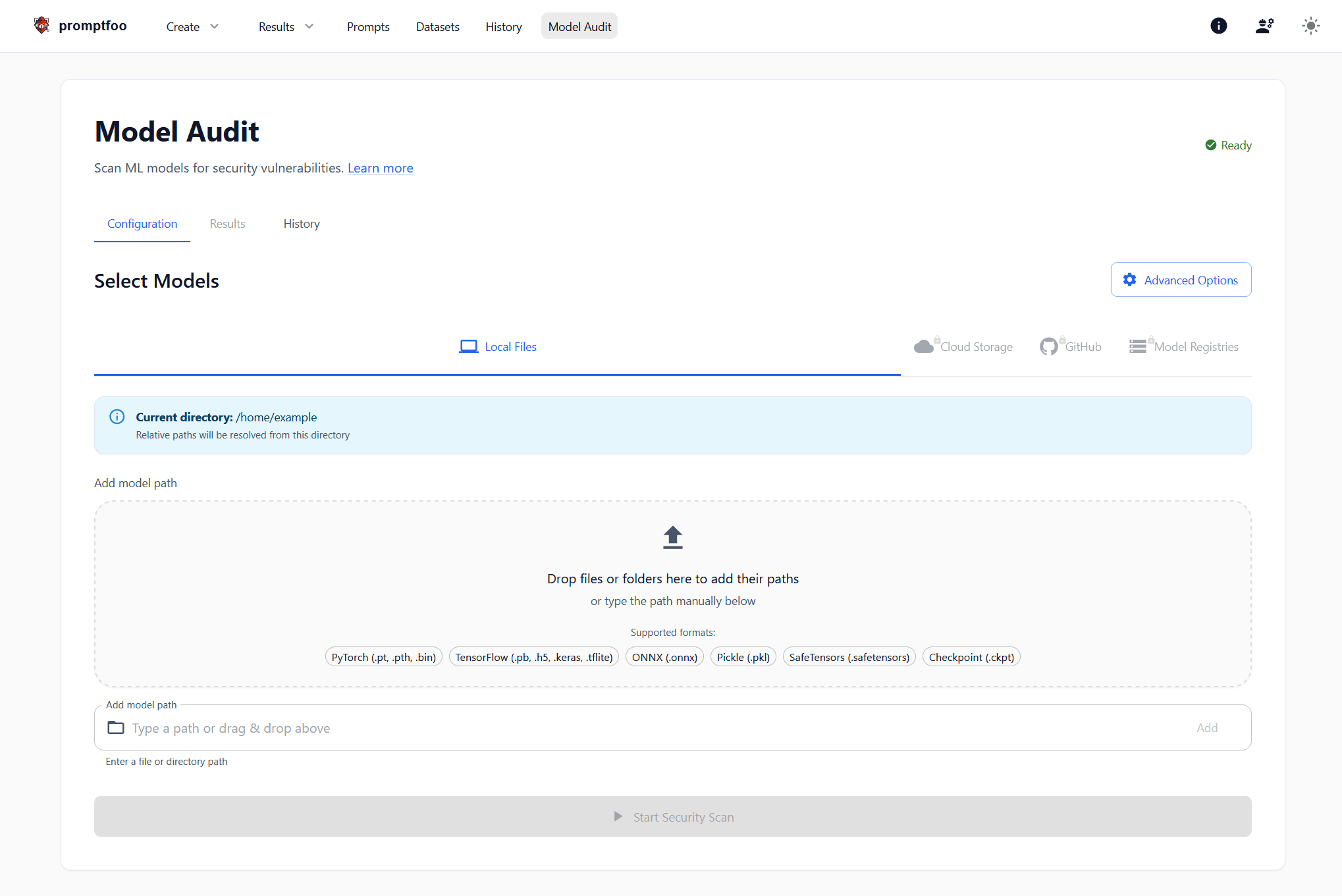 Model Audit UI